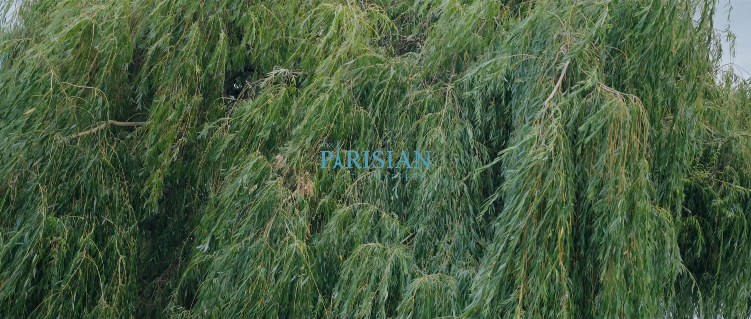 The film